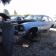 Illustration for article titled PNW Junkyard visit